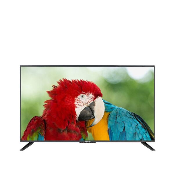 LG OLED TV - Image 5